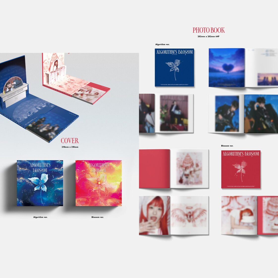 QWER - 2nd Mini Album [Algorithm's Blossom] - Music - Shop - NEOE