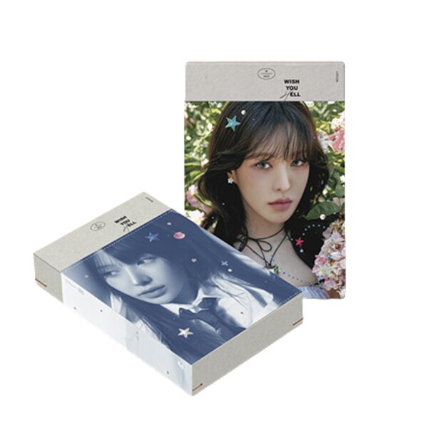 WENDY - The 2nd Mini Album [Wish You Hell] (Package Ver.)
