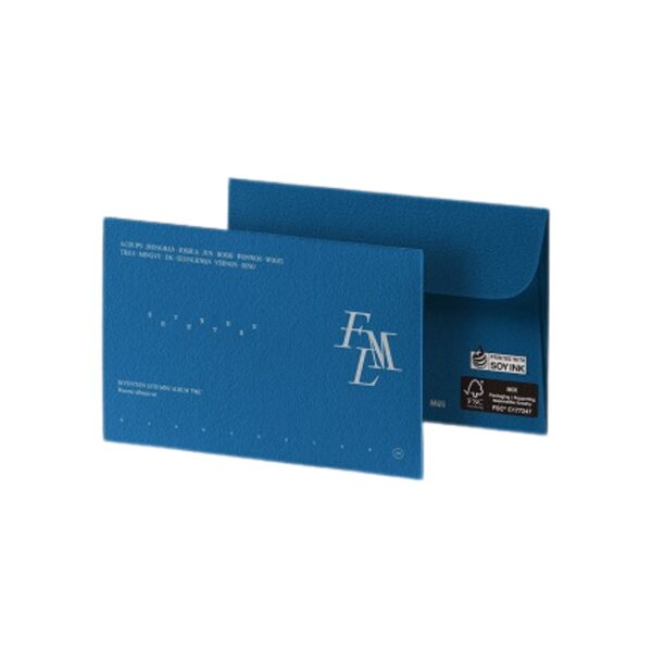 SEVENTEEN - 10th Mini Album [FML] (Wevere ver.)