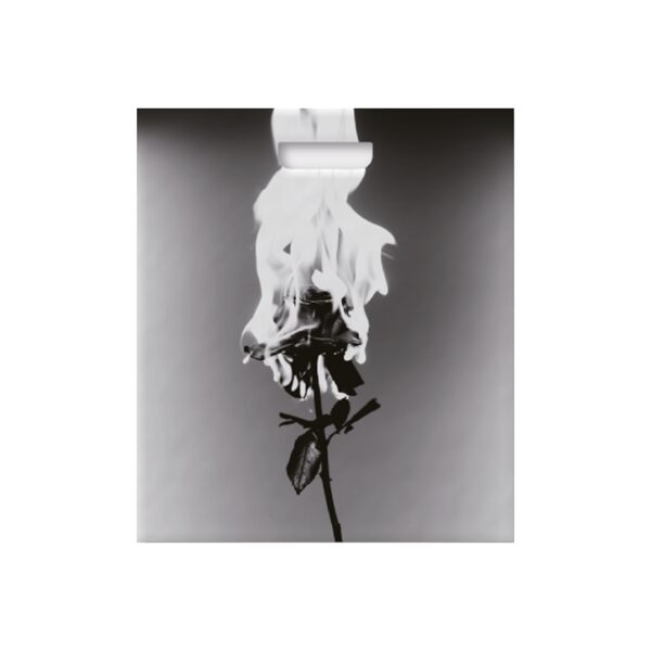 B.I - Album [Love or Loved Part.1] (REAL PACK Ver.)